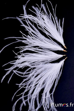 Ciondolo struzzo - 9-12 cm - bianco